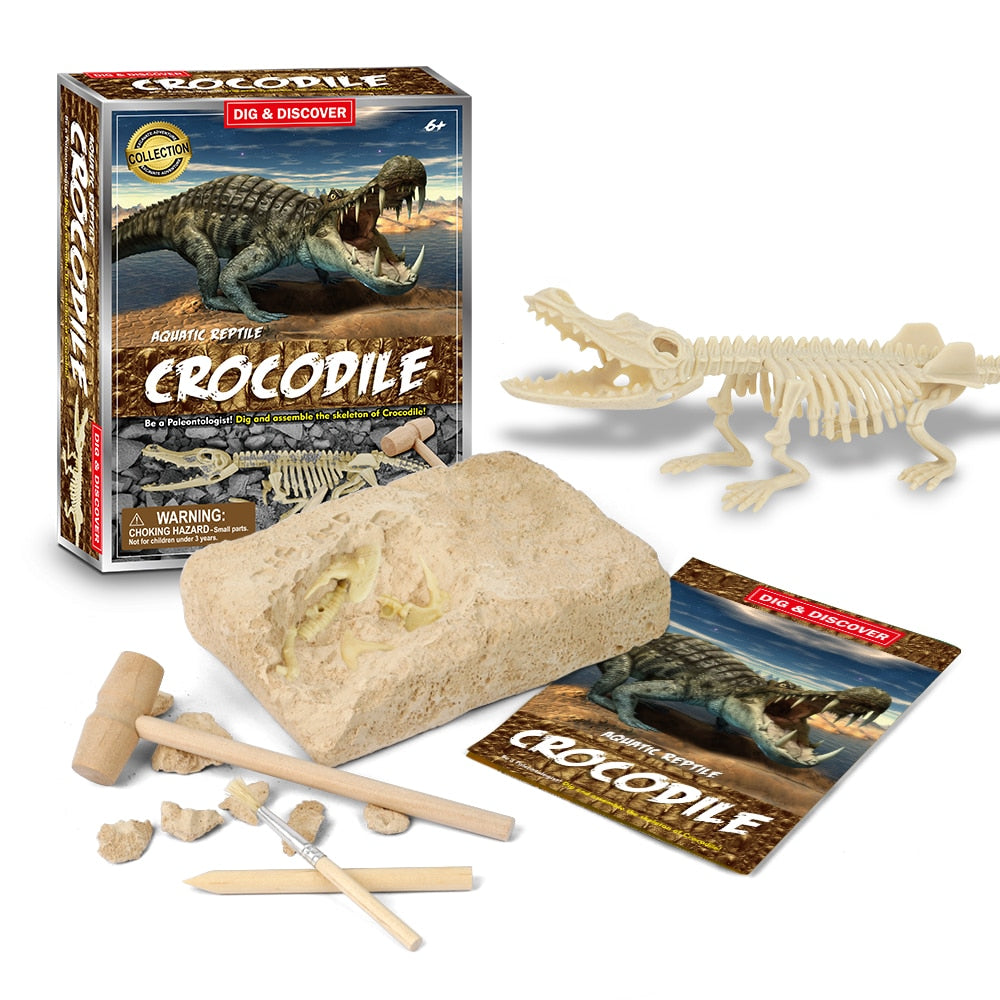 Dinosaur Fossil Digging Kit - JCEE Shop